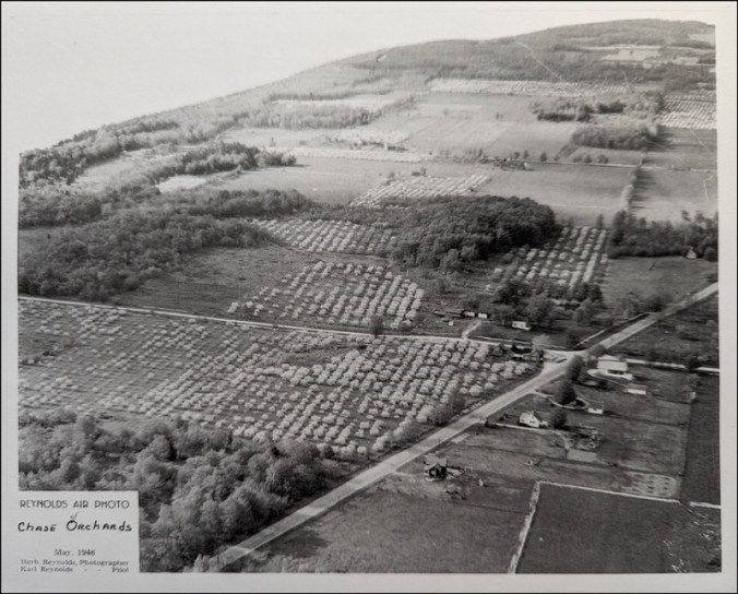 PXL_20230811_140525902-Final-w-Border